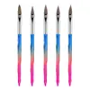 Fornecimento direto da fábrica caneta para unha atacado haste de diamante caneta colorida degradê para escultura 5 caneta de cristal kit de caneta para unha