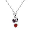 Collar de plata de ley s925 con doble corazón transfronterizo europeo y americano para mujer con doce piedras de nacimiento, colgante de Amazon, cadena de clavícula de alta gama