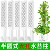 Palo de Musgo Sphagnum Tipo Nuevo Palo de Soporte Integrado para Plantas Trepadoras Monstera Plantada en Caliente Philodendron Bambú de Espalda de Tortuga Potos Palo de Musgo Raíces Aéreas