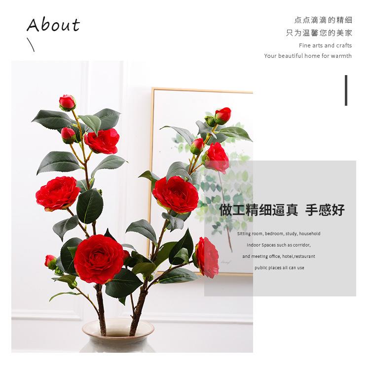 单支茶花_02.jpg