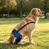 Ropa para Mascotas, Equipo de Protección para Perros, Cinturón Auxiliar para Lesiones en Patas Delanteras de Perro, Mallas para Perros, Cinturón de Rehabilitación de Pierna, Protección de Articulaciones de Pierna
