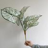 Nueva planta verde artificial, hoja de alocasia, flor artificial Mori, decoración suave para bodas, flores falsas, adornos decorativos para sala de estar y mesa de comedor.