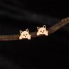 Pendientes de acero inoxidable con diseño de gato y mascota, de estilo nicho, de estilo europeo y americano, con diseño de lujo y luz, con dibujos animados
