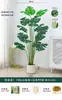 Planta Verde Monstera Bambu Simulação Nórdica Planta Grande Biónica em Vaso Planta Falsa Decoração de Sala de Estar Interna Ornamento de Chão Árvore