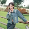 Jaqueta Jeans Manga Longa Retrô Feminina Outono 2025 Nova Solta Estilo Coreano Petite Casual Jaqueta Top Outro