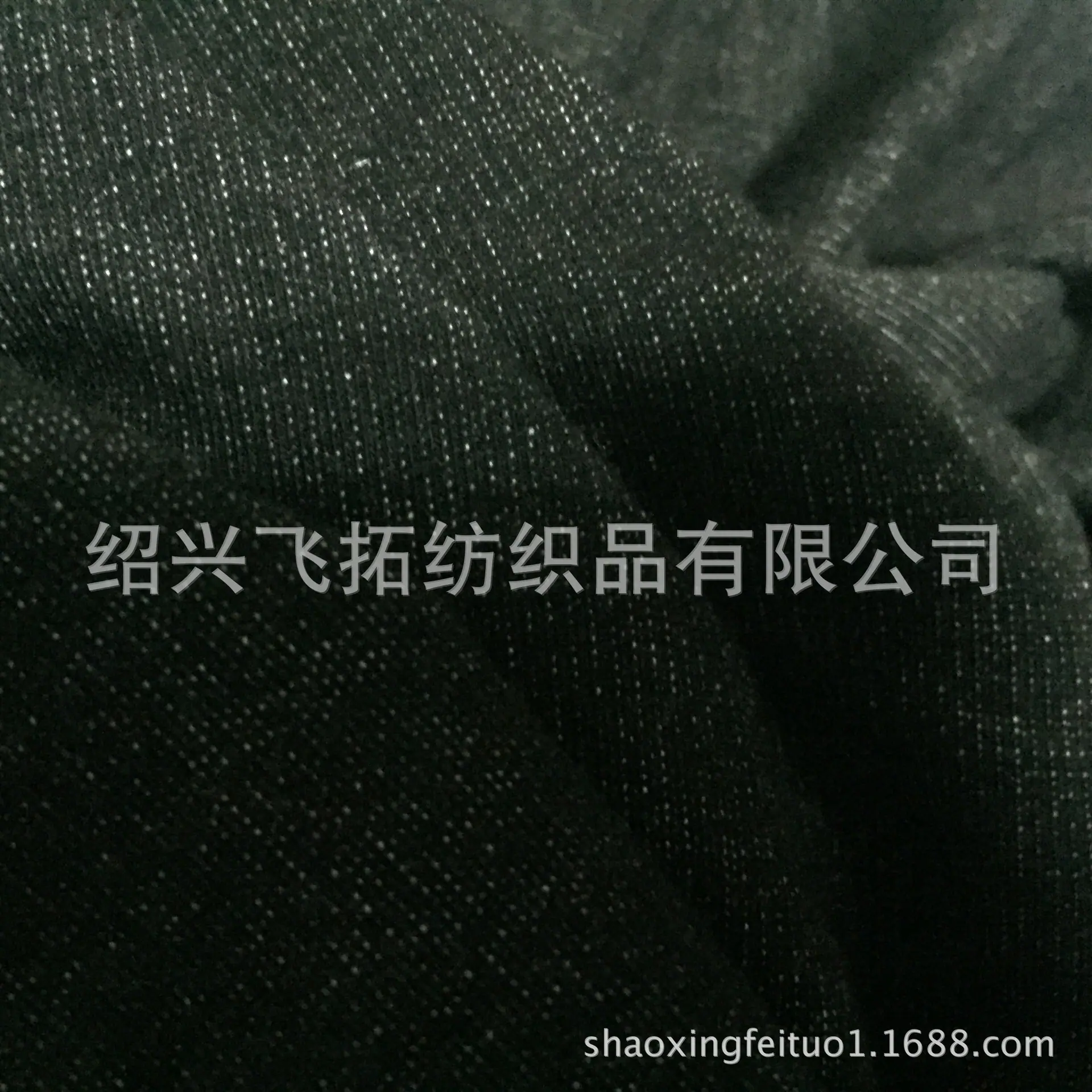 TR黑毛圈2