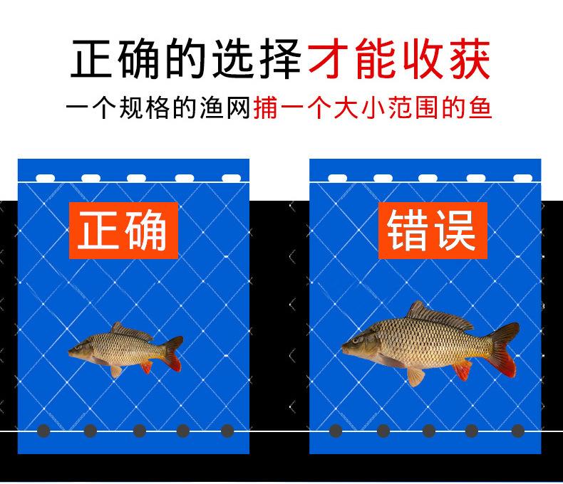 粘网_19.jpg