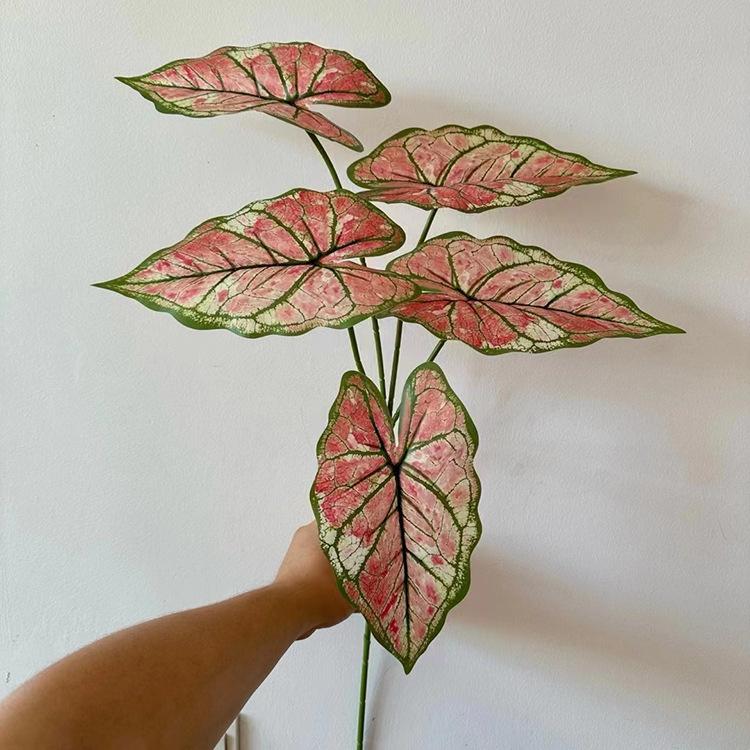 5叉3D打印芋叶-绿边粉.jpg