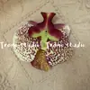 Cabeça de Flor de Orquídea Phalaenopsis Artificial, Textura de Película Impressa em 3D, Buquê Exquisito para Decoração de Casamento e Lembrança