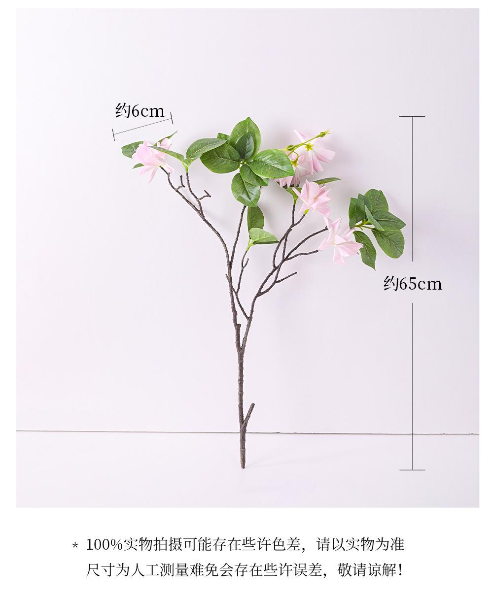 详情_03.jpg