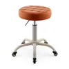 Taburete de Belleza Asiento Especial para Salón de Belleza Elevador Giratorio Polea Taburete Redondo Peluquería Uñas Maquillaje Hogar Silla con Respaldo