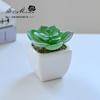 Suculenta Pequeño Bonsái Cerámica Muebles para el Hogar Decoración Fabricante de Jinhua Plantas Verdes Aliexpress Flor Artificial Plantas en Maceta