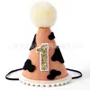 Banner de Cadeira Alta para 1º Aniversário com Tema de Meia Vaca, Uma Coroa, Chapéu Pontudo de Meio Ano, Chapéu de Festa de 1 Ano
