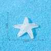 Enfeites de paisagem em miniatura, acessórios DIY para jardim botânico, miniaturas de animais temáticas de praia, estrelas-do-mar, estrelas de cinco pontas, artesanato em resina