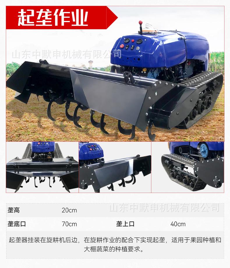中文详情_15