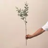 Ramo de Eucalipto Folha de Dinheiro Artificial para Decoração de Interiores Domésticos, Casamentos e Arranjos de Floricultura, Flexível para Arranjos Florais