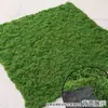Césped de Musgo Césped Artificial Biónico de Musgo Césped Artificial Conservado Musgo Artificial Micro Paisajismo Plantas Verdes Paisajismo Césped Artificial Seda
