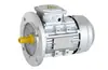 Motor Assíncrono Trifásico YS com Carcaça de Alumínio 2/4 Polos 0,37/0,55/0,75/1,1/1,5/2,2KW Padrão Nacional Completo