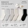 Calcetines blancos holgados para mujer, estilo primavera y otoño, calcetines de algodón puro hasta la mitad de la pantorrilla, estilo coreano ins, encaje, lunares, puntos lisos, calcetines largos holgados