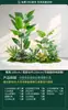 Plantas Verdes Simuladas, Paisajismo Interior a Gran Escala, Combinaciones de Paisajismo Exterior, Decoraciones de Exhibición para Ventanas de Lujo Ligero de Alta Gama, Plantas Artificiales en Maceta de Pie