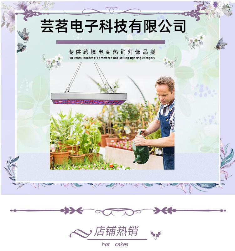 芸茗详情_01.jpg