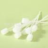 Palito Esponja Triangular para Limpeza Oral Esponja Lenço Palito de Madeira Estilo Longo e Curto Vendas Diretas de Fábrica Especificações Podem Ser Personalizadas