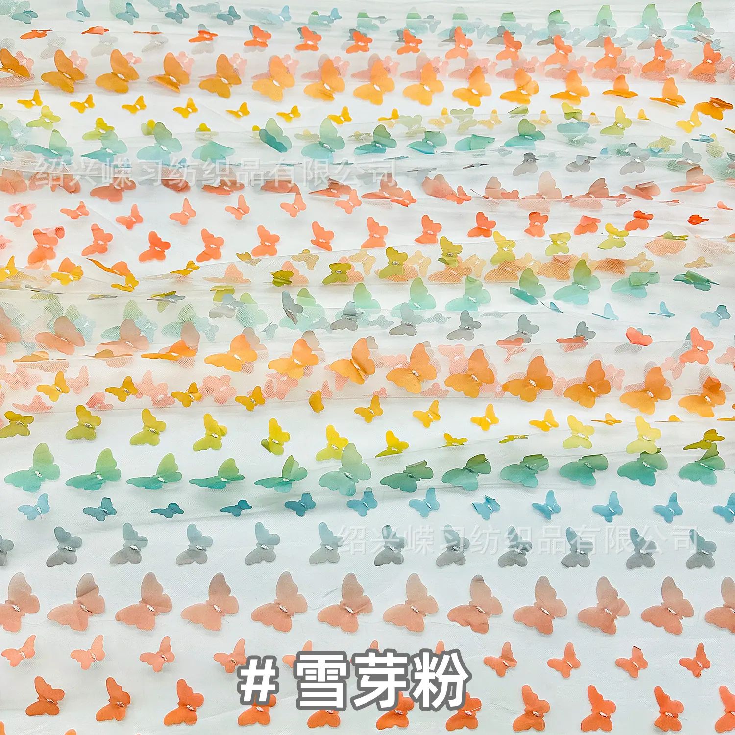 6雪芽粉