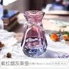 Vaso Vidro Transparente Sala de Estar Arranjo de Flores Escandinavo Hidropônico Bambu Rico Moderno Simples Garrafa de Flor Seca Cultura em Água Rabanete Verde Grande