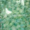 Pétalas de Camélia em Gradiente de Duas Cores Concha Ma Beibei Flor de Concha Flor de Peônia de Jade Fragrante Peônia Tianzhu Flor de Peônia
