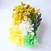 Flor Eterna DIY Kit de Materiales de Flores Secas Regalo del Día de las Madres Ventilador Creativo Hecho a Mano Marco de Fotos Materiales de Flores de Resina Flores Preservadas