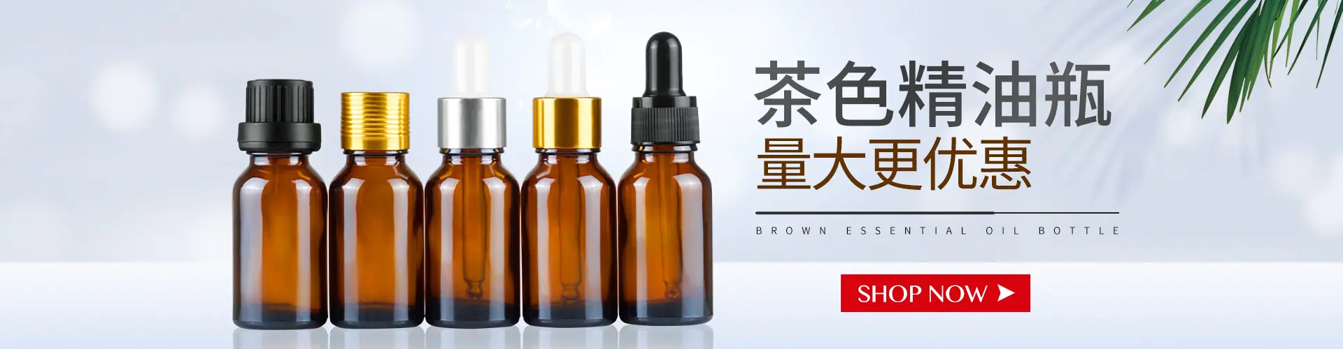 主页