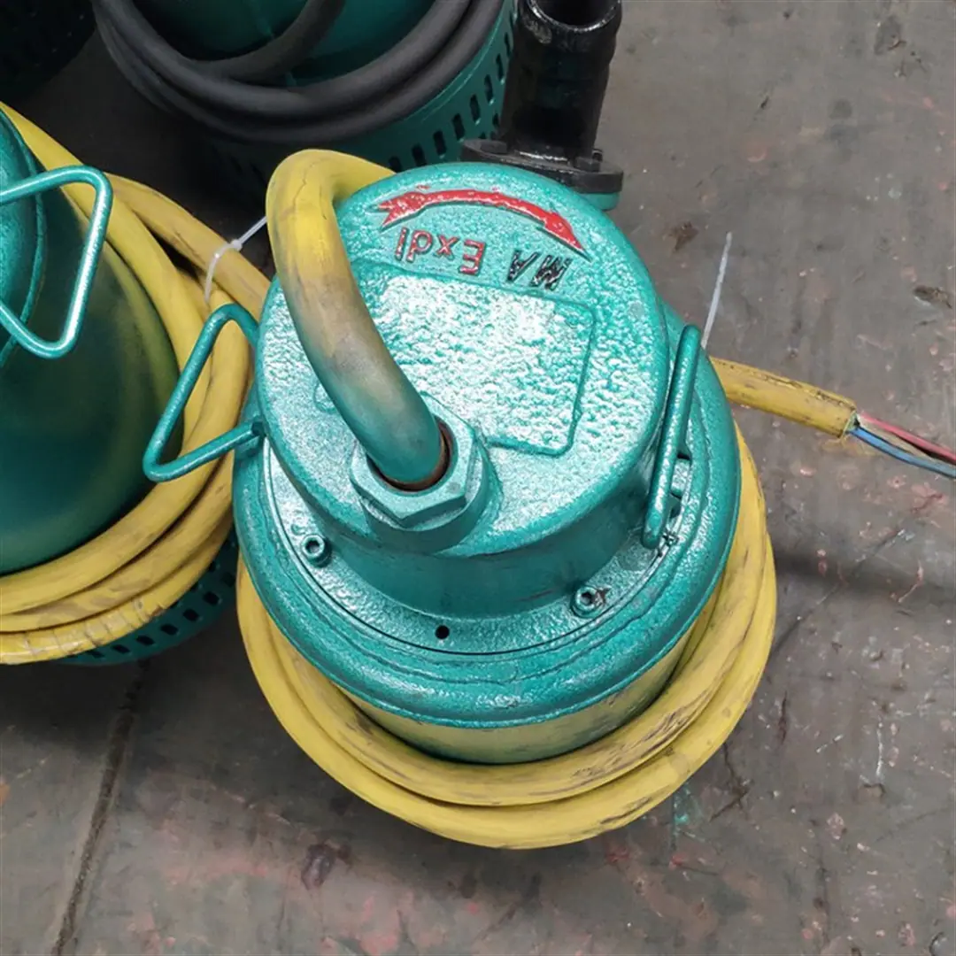 隔爆潜水泵2.png