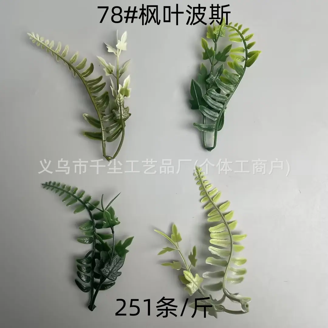 78#枫叶波斯.jpg