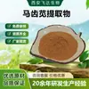 Extracto de Portulaca Oleracea, Polvo de Portulaca Oleracea, Flavonoides de Portulaca Oleracea, Se Puede Inspeccionar y Vender en Stock