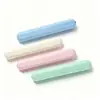 Balde de escova de dentes transparente colorido para uso doméstico casual, caixa de armazenamento de escova de dentes, caixa de palha de trigo portátil