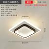 Luz de Techo para Pasillo Nórdico Moderna Simple Pasillo Balcón Luz para el Hogar Celebridad Cibernética Entrada Lujo Ventana Lámparas de Arte en Hierro