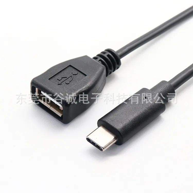 USB AF TO Type-C M背包线