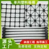 Fabricante de Shandong Fabricante de Geogrelha Unidirecional Produzida e Vendida Internamente Muro de Contenção Base Rodoviária Tgsg Grelhas Unidirecionais