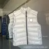 Comércio Transfronteiriço Jaqueta de Penas Canada Goose 2229 para Homens e Mulheres, Colete Canelado Brilhante, Colete com Gola Alta, Colete Casual para Exterior