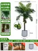Grande Palmeira Areca Simulada Planta Tropical Coqueiro Planta Verde Biônica de Interior Árvore Falsa Atmosfera Paisagismo Ornamentos em Vaso