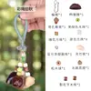 Semente Idioma Sino Claro Fruta Casca Material Kit DIY Plantação de Plantas Sino Pendurado Bolsa Chaveiro Joia Artesanal Pingente Atacado