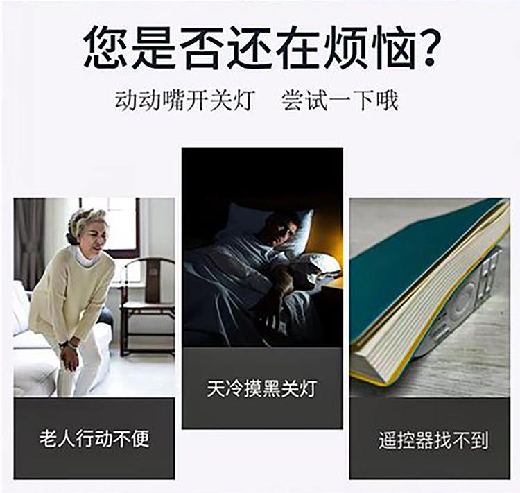 语音灯头_02.jpg