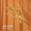 Flores Secas Frutas Vermelhas Flores Artificiais de Acácias Buquê Folhas de Eucalipto Ginkgo Decoração de Chão para Sala de Estar Arranjo de Flores Tecelagem