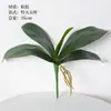 Película de simulación con contenido de Yang, sensación hidratante, planta de simulación de hoja de Phalaenopsis, hoja de orquídea artificial, Phalaenopsis chino