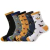 Calcetines Transfronterizos, Producto de Comercio Exterior Más Vendido de Amazon, Calcetines de Media Pantorrilla con Estampado de Animales y Patrón de Dachshund, Calcetines Originales Zhuji