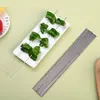 Espetos redondos de aço inoxidável para churrasco, usados para grelhar espetinhos de carne e cordeiro. Adequado para uso doméstico e de camping.