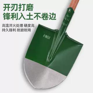 绿白头锹