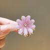 Pinza pequeña de metal estilo Xiaoxiangfeng Pinza para flequillo de pelo Ju Xiaozou Clip con borde de flor de piedra ojo de gato Accesorios para el cabello