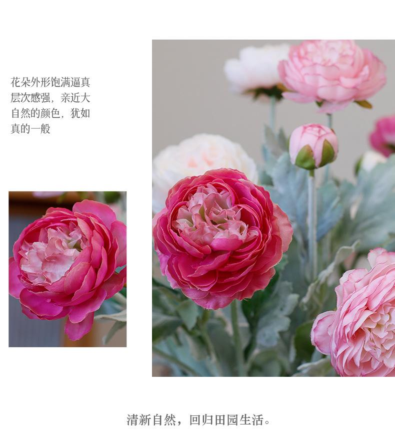 3头梦柏露莲_10