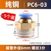 Conector rápido para tubería de gas, conector rápido neumático, fuente de aire, rosca PC8-02, paso recto PC 10-03/12/6/4/M5